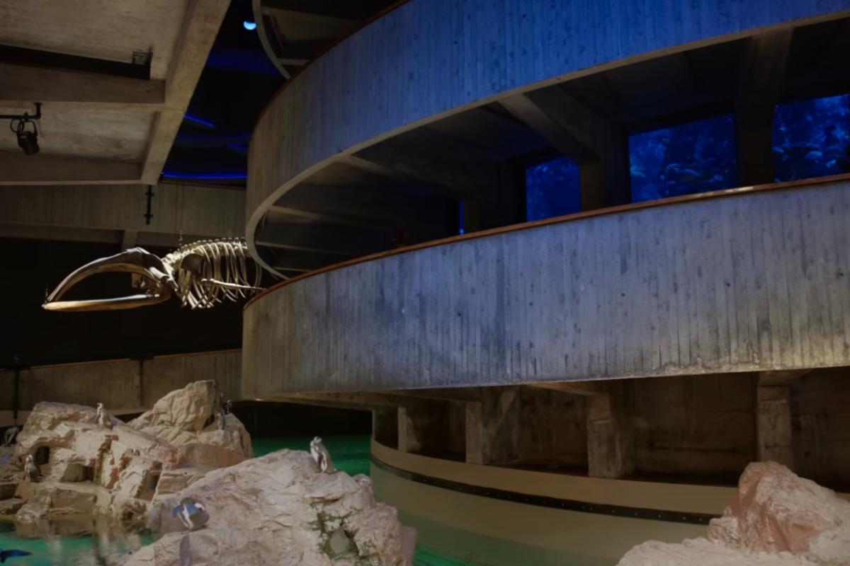 'Architecture as a Servant, Rather Than an End in Itself' Peter