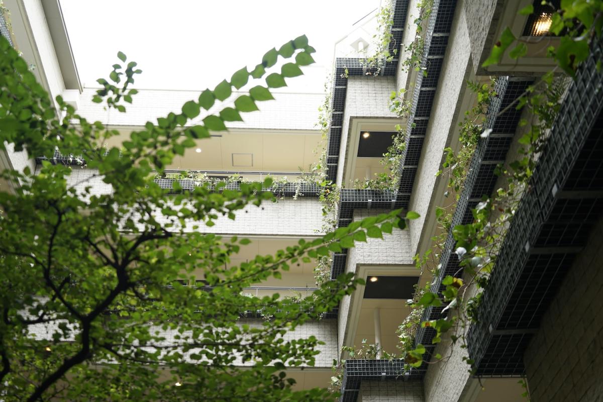 LEAF COURT PLUS LEAF COURT PLUS