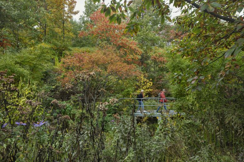 Brooklyn Bridge Park in Photos - A peek inside a new book by Michael ...