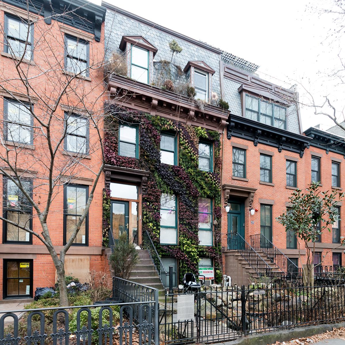 A Living Wall Grows in Brooklyn