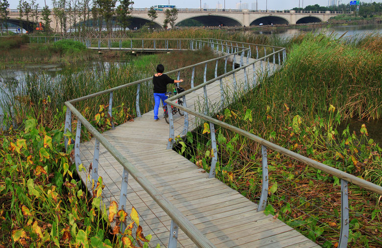 A Typical River Wetland System in Taihu Basin——Wuxi Changguangxi ...