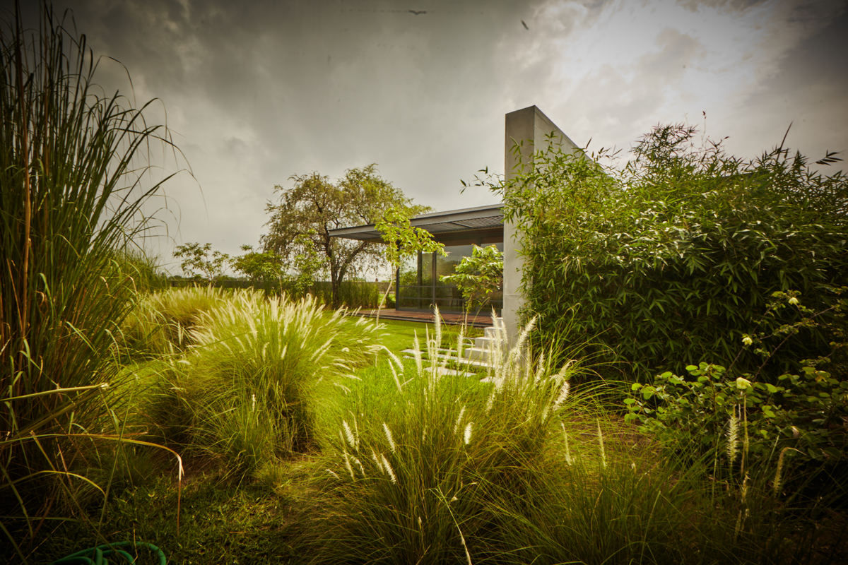 Glade One Spasm Design Architects