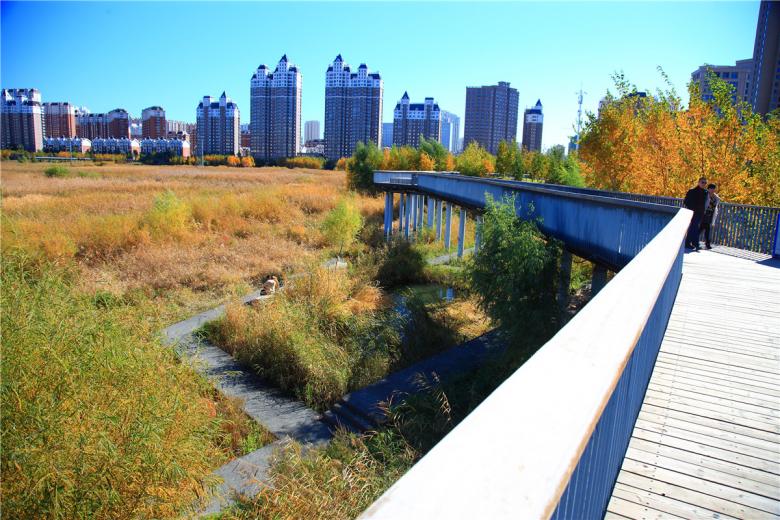 The Transformed Stormwater Park: Qunli National Urban Wetland Turenscape