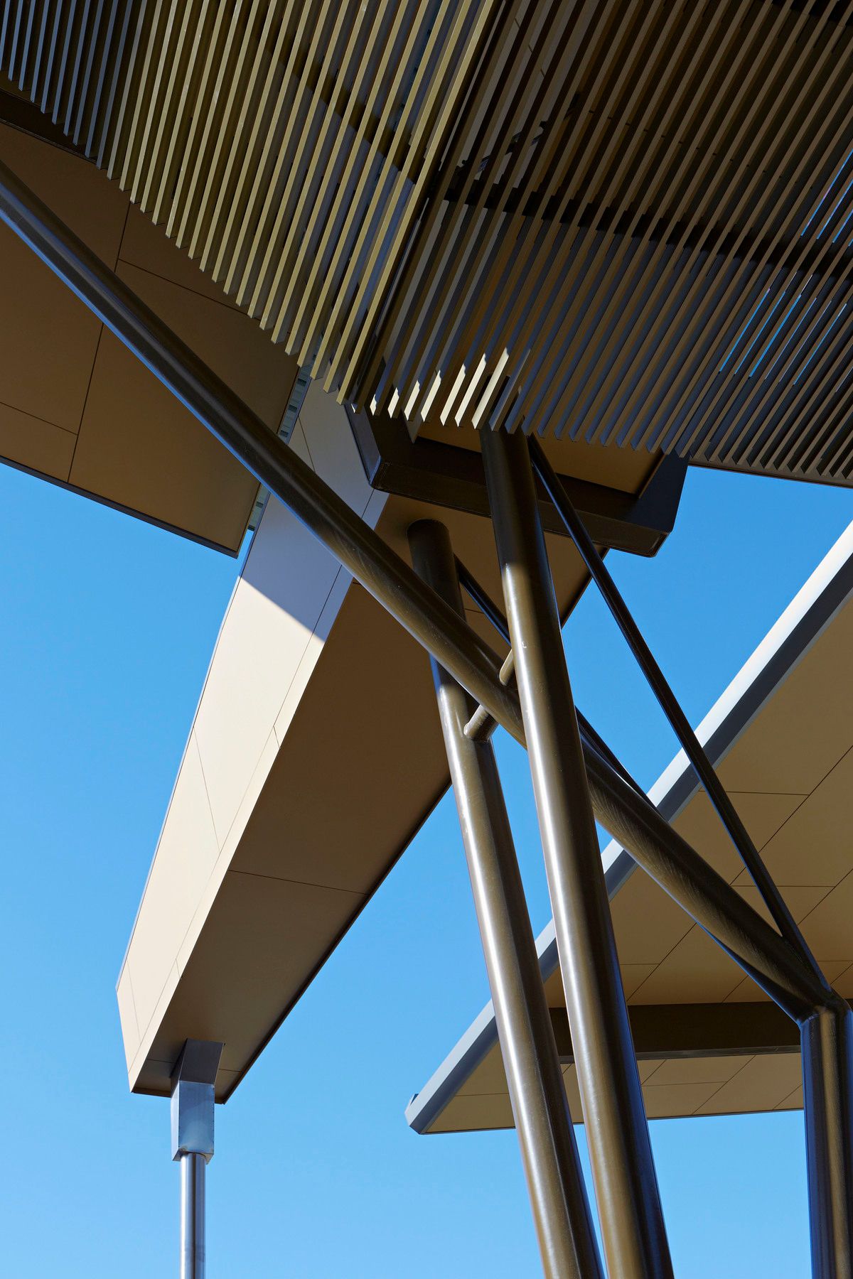 Griffith University Campus Heart Cox Architecture