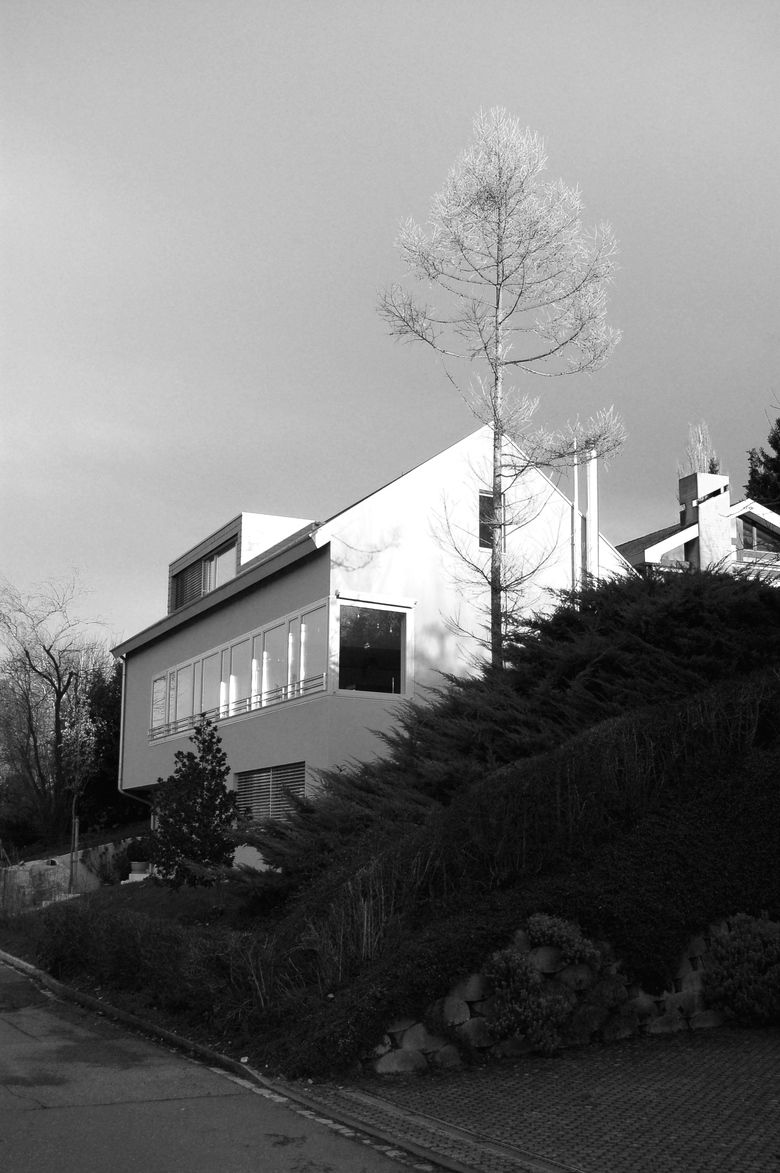 neubau-einfamilienhaus-st-arbogaststrasse-abt-architekten